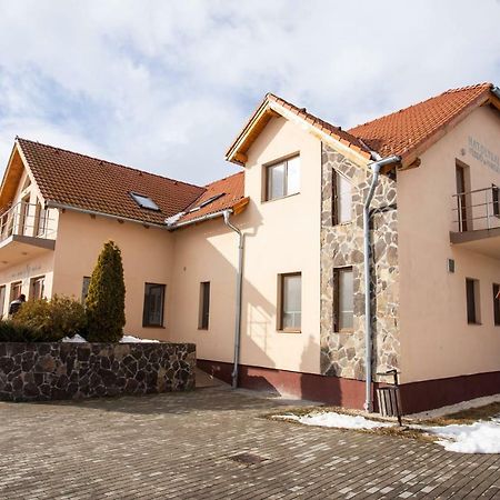 Camere De Inchiriat Hatuica Exterior photo
